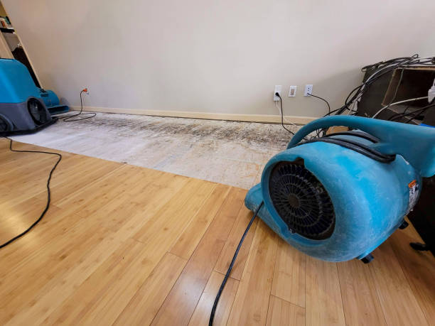 Professional Ceiling Water Damage Repair technician working in Lake Ozark, MO